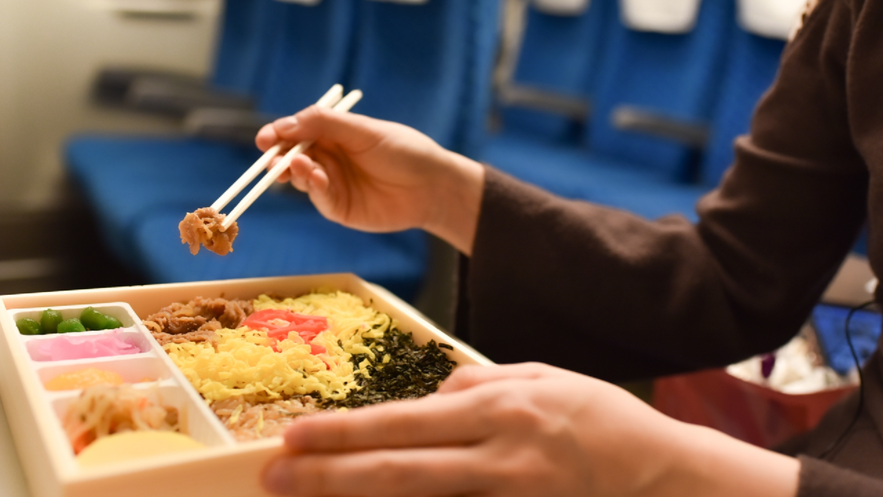Station to Station: The Charm of Japanese Ekiben Aboard Iconic Trains Across Scenic Routes