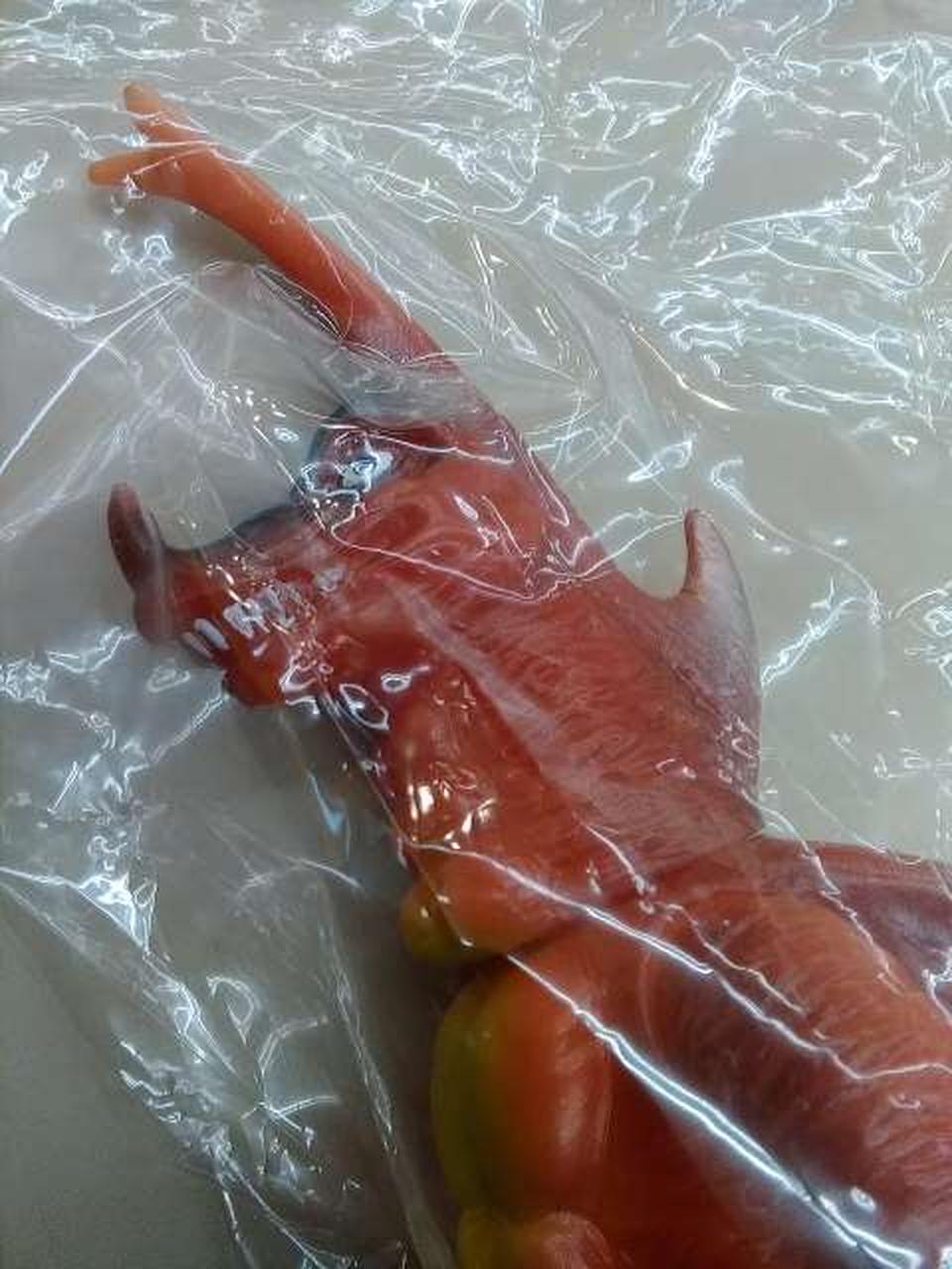 Burmak Robot Soft Vinyl Figure Kanedrasu New Reissue
