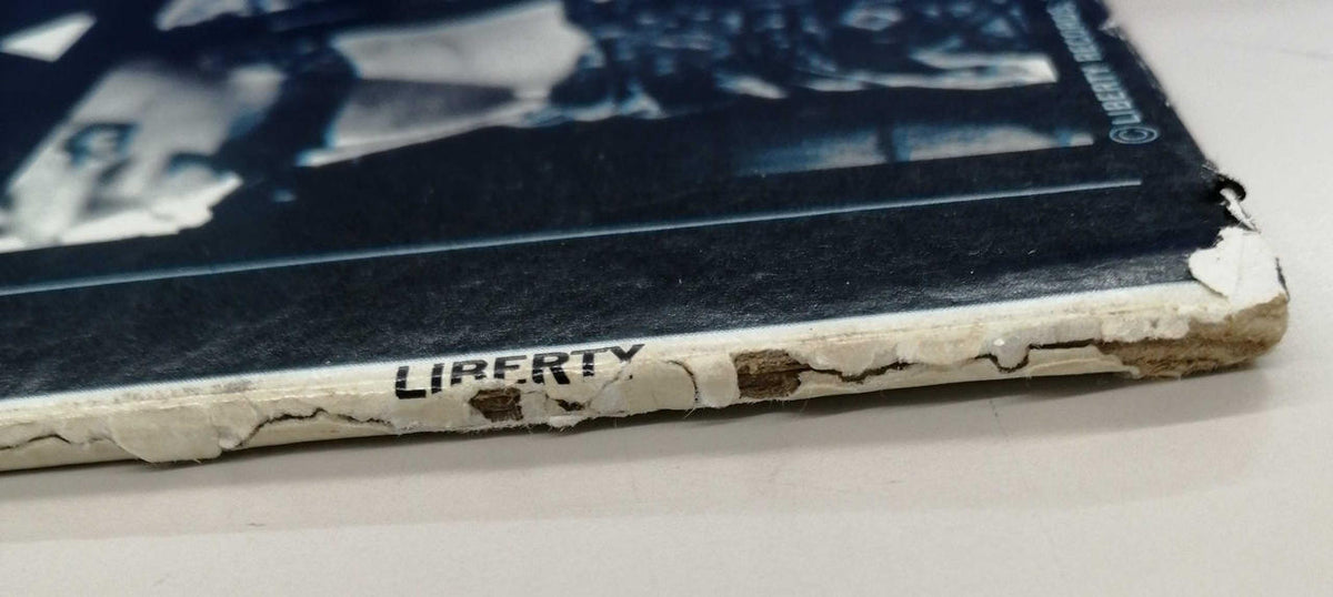 LIBERTY The T-Bones/No Matter What SHA LST-7439