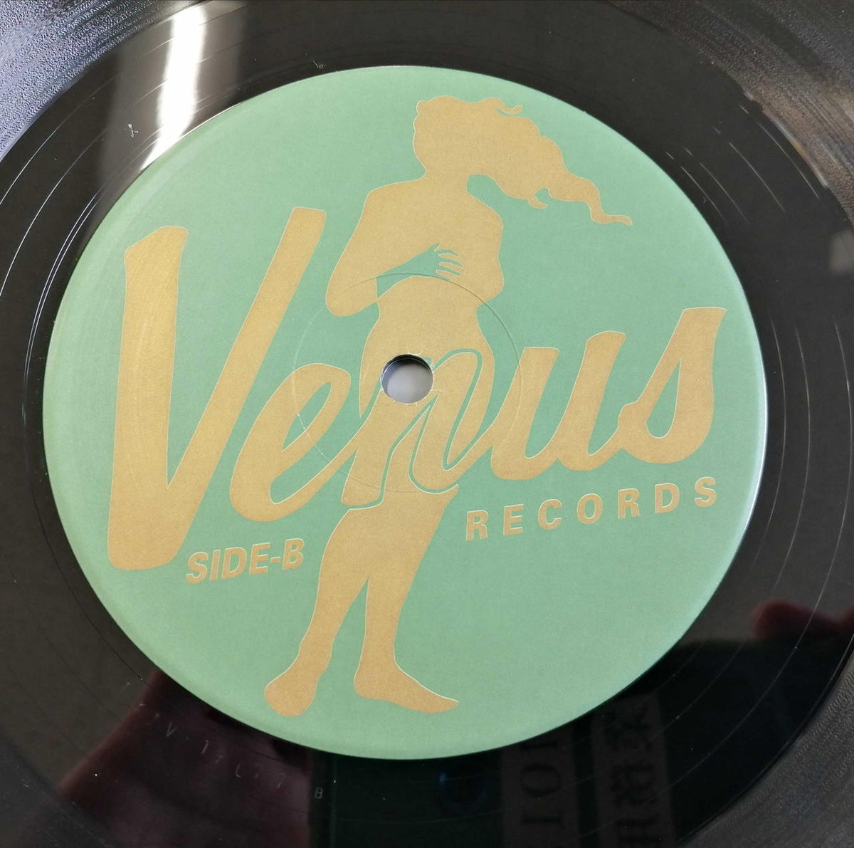 Venus Records Co., Ltd. LP Record: Stealthy Love