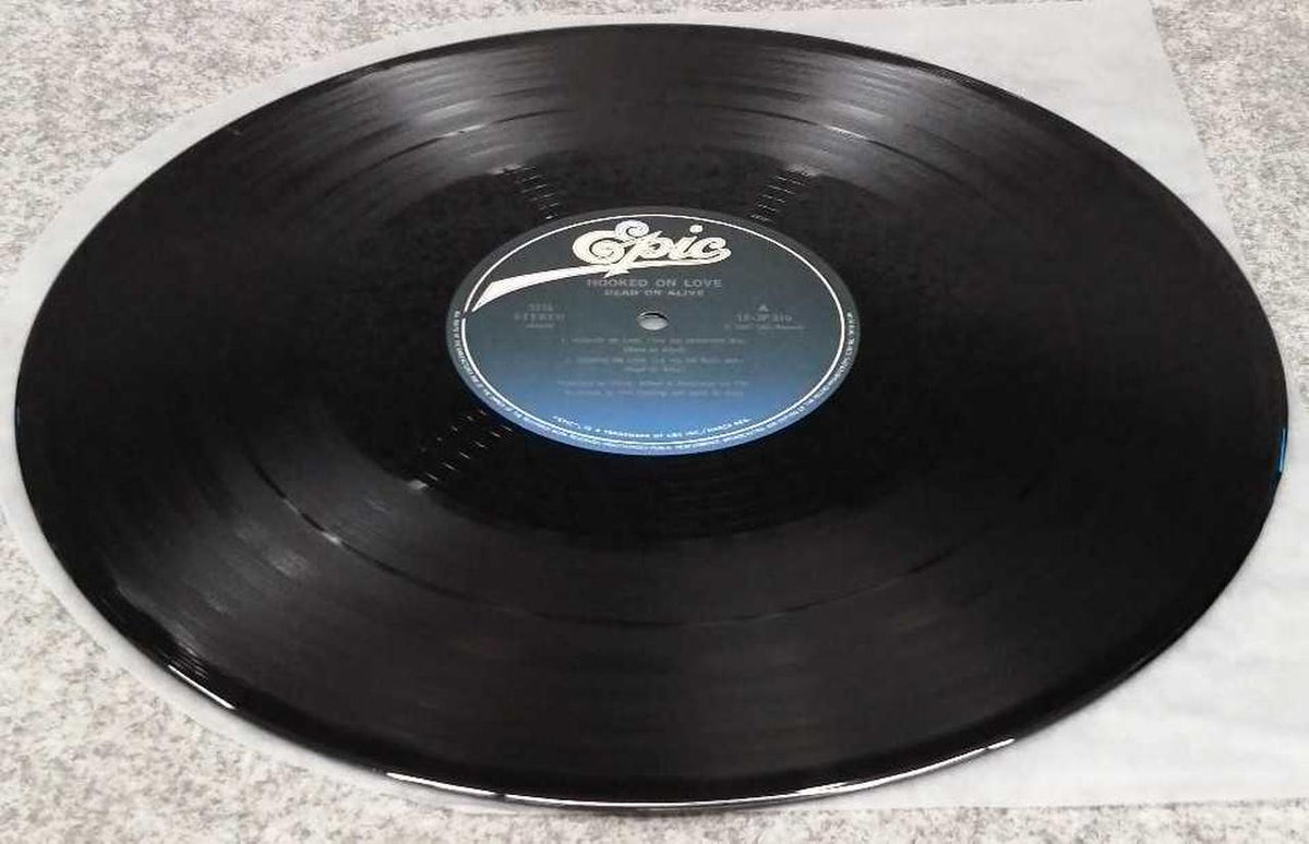 EPIC & Sony Western Music Hook-on-Love / Dead or Alive