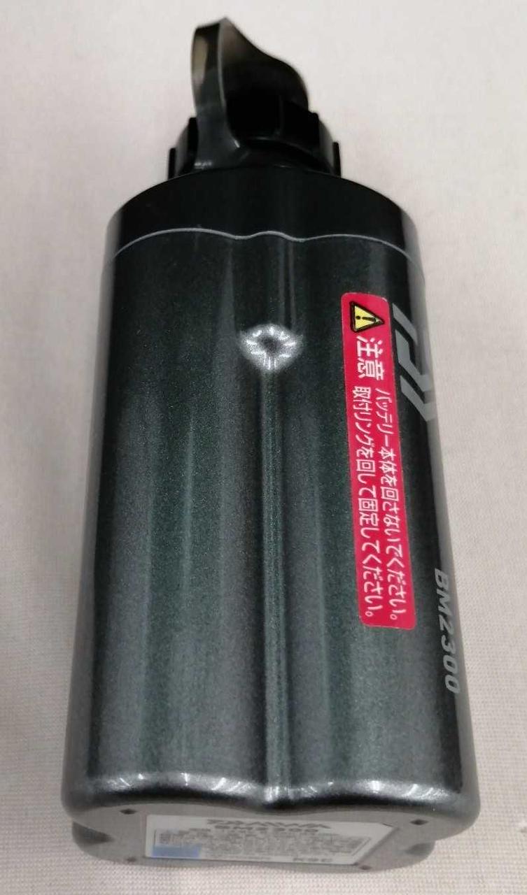 DAIWA SEABORG 300J