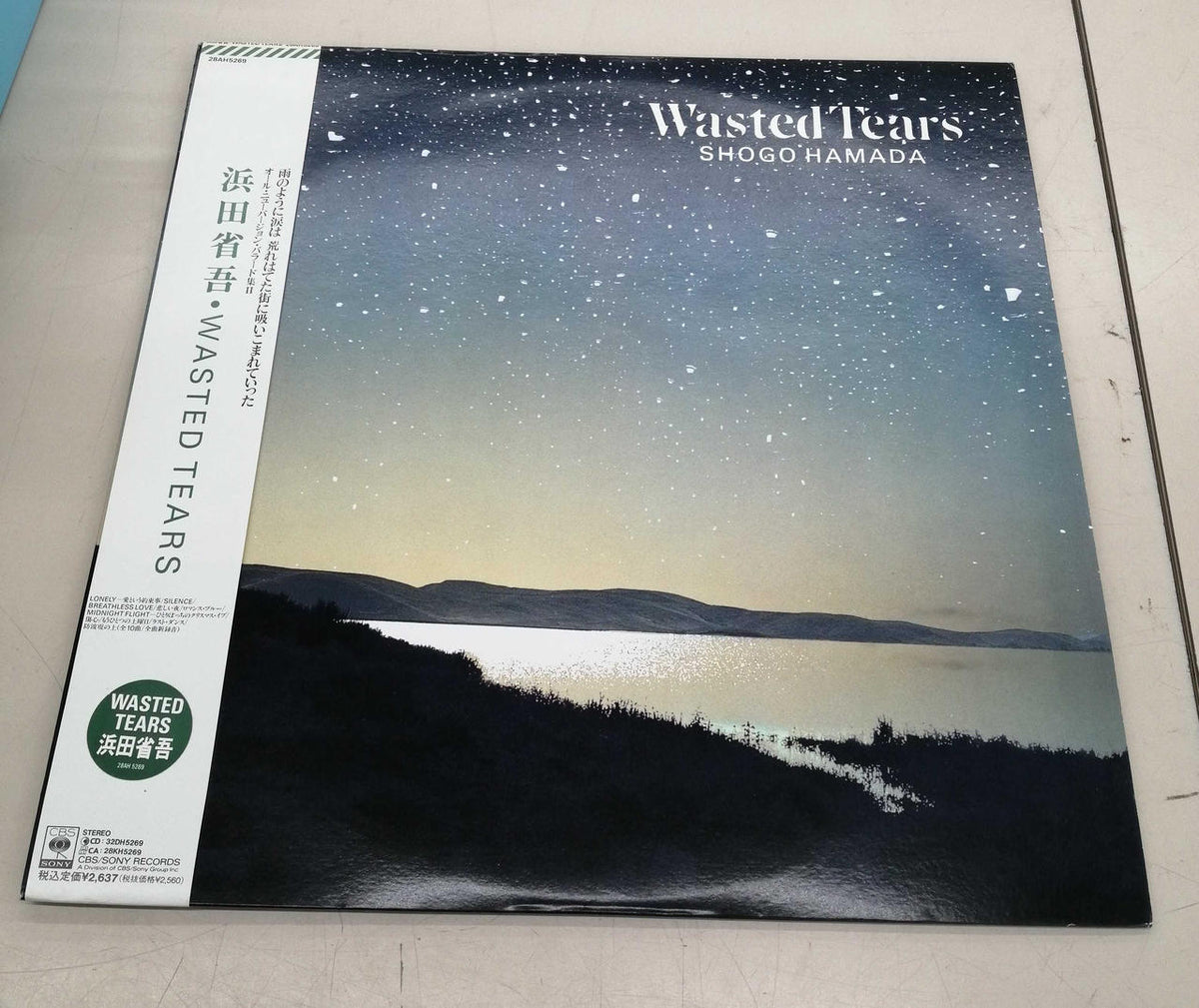 CBS/SONY Japanese Music Record WASTEDTEARS / Shogo Hamada