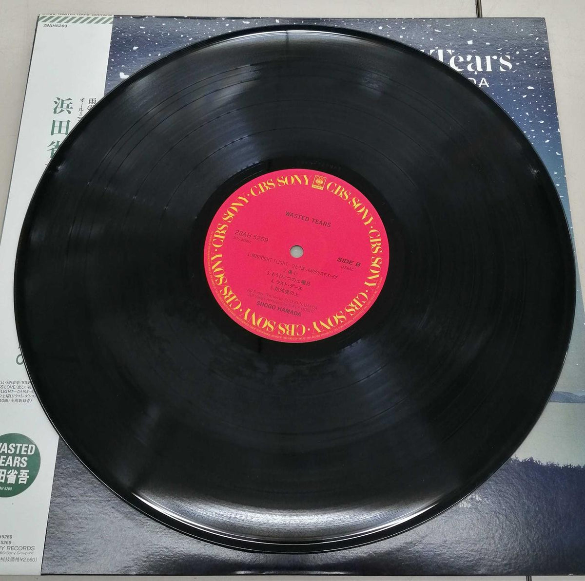 CBS/SONY Japanese Music Record WASTEDTEARS / Shogo Hamada