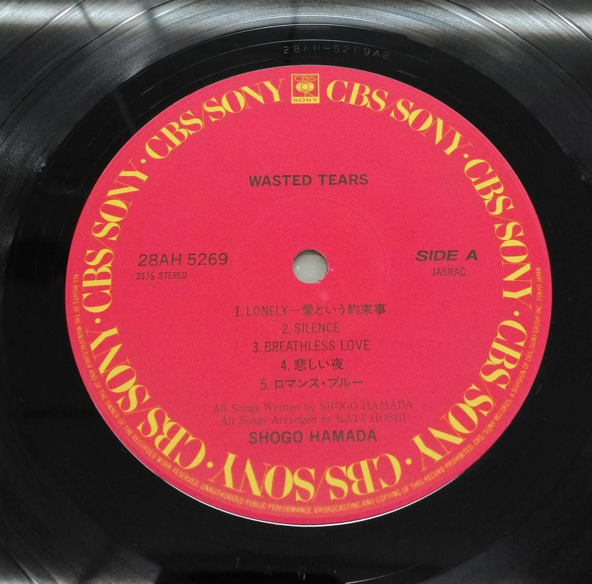 CBS/SONY Japanese Music Record WASTEDTEARS / Shogo Hamada