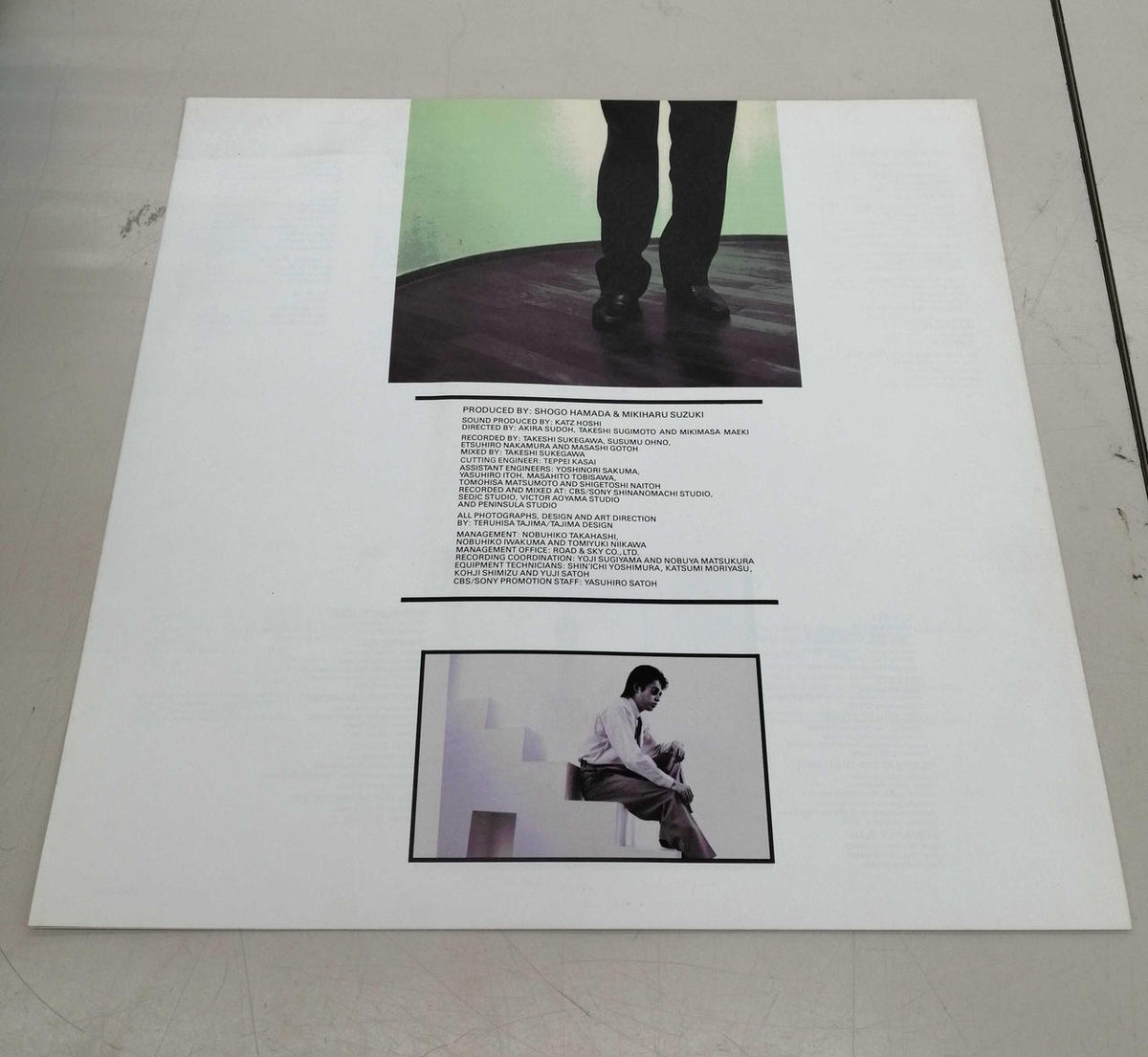 CBS/SONY Japanese Music Record WASTEDTEARS / Shogo Hamada