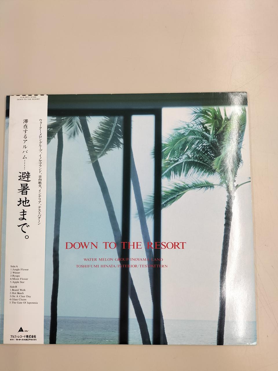 Alfa Records LP Record DOWN TO THE RESORT
