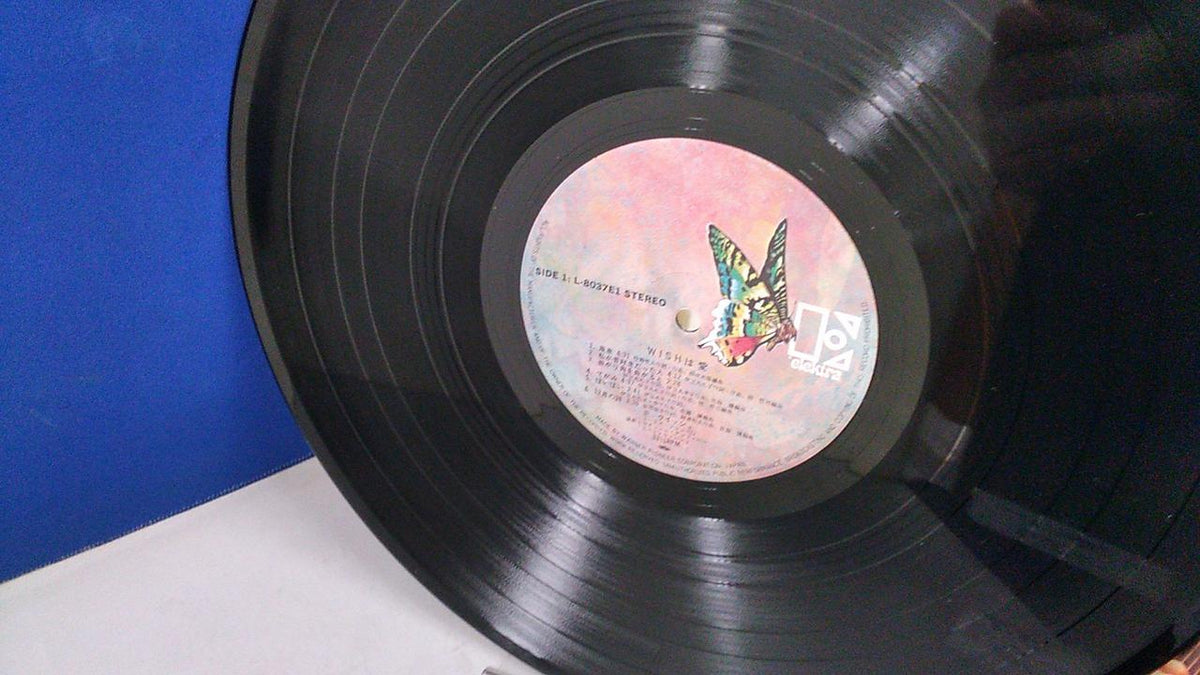 WARNER Wish is Love June Lullaby Lullaby L-8037E
