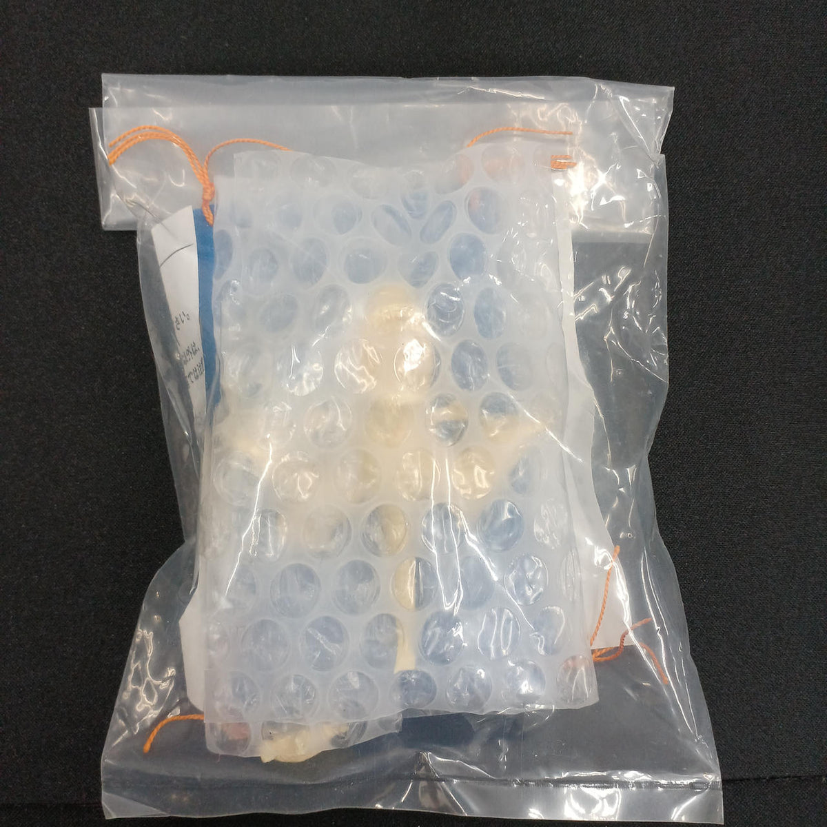F.S.M GON Garage Kit GON Nap Pose (2) - Banzai Thrifting | BanzaiHobby