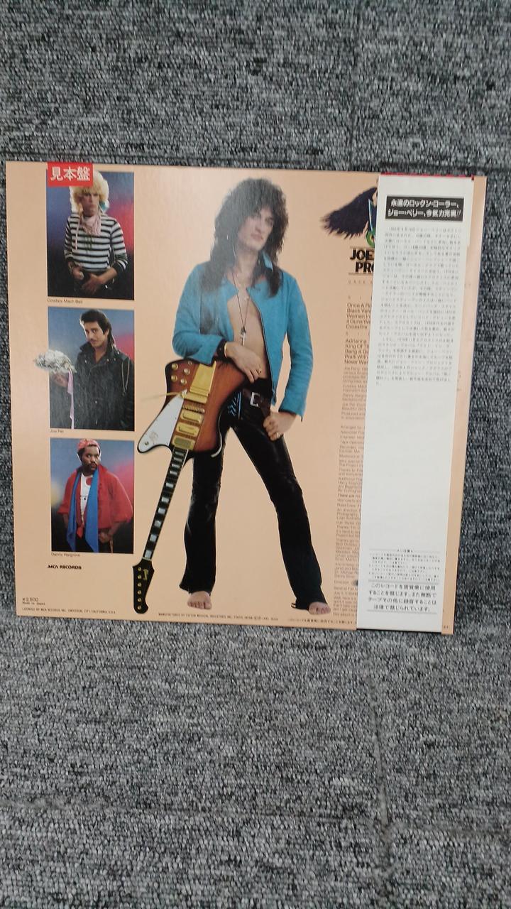MCA Sample Disc Unused Record Joe Perry Project