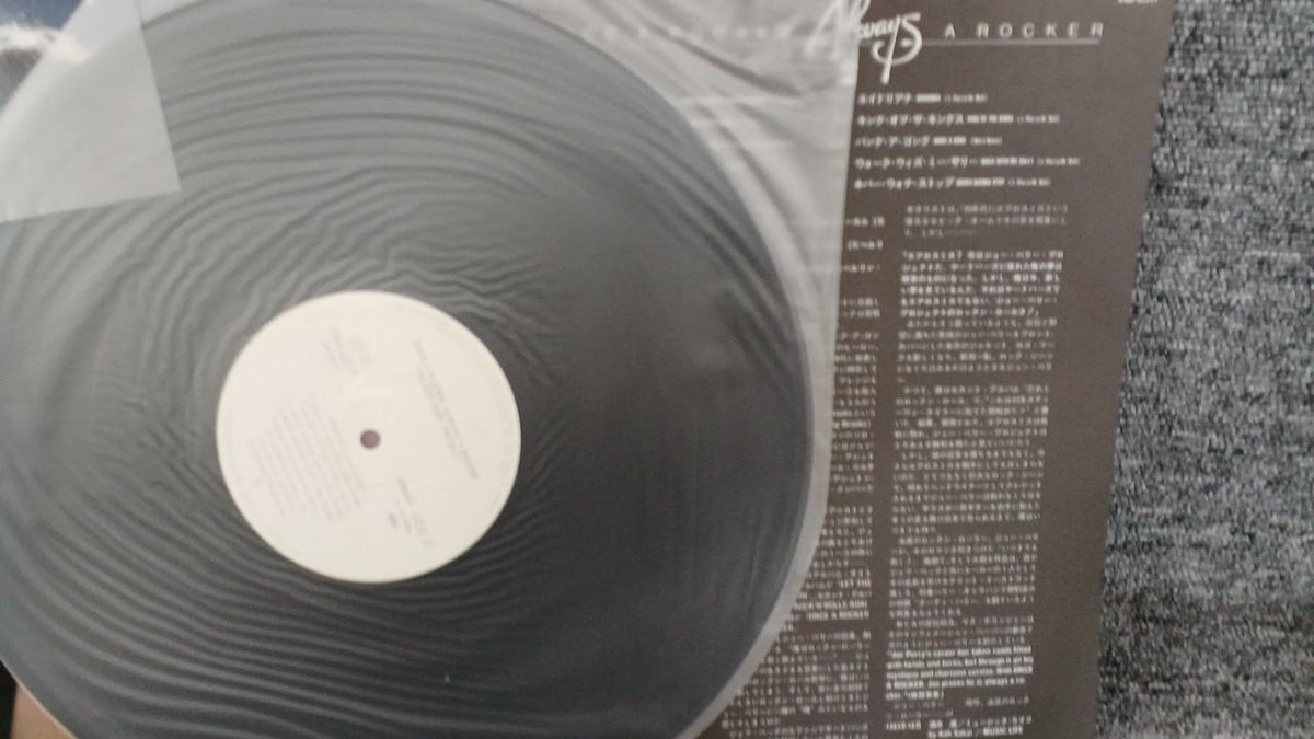 MCA Sample Disc Unused Record Joe Perry Project