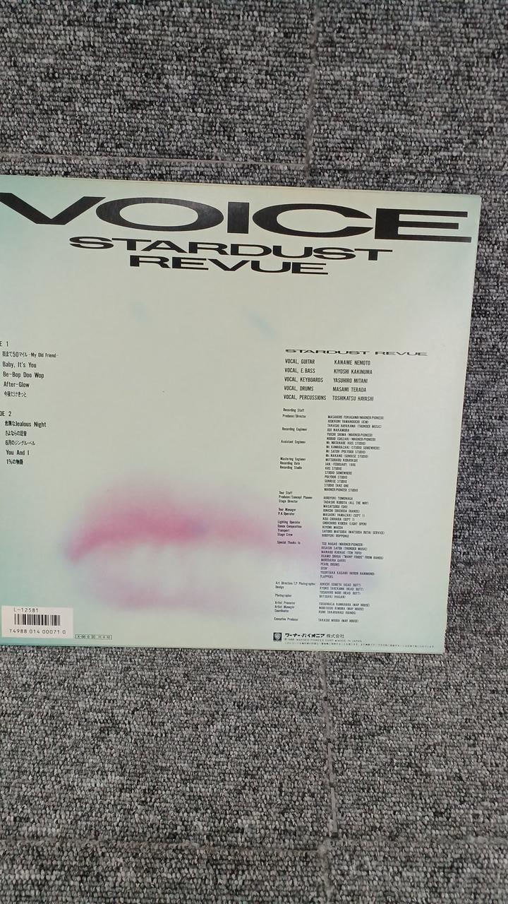 Warner Pioneer Sample Disc Unused Record Stardust Review VOICE