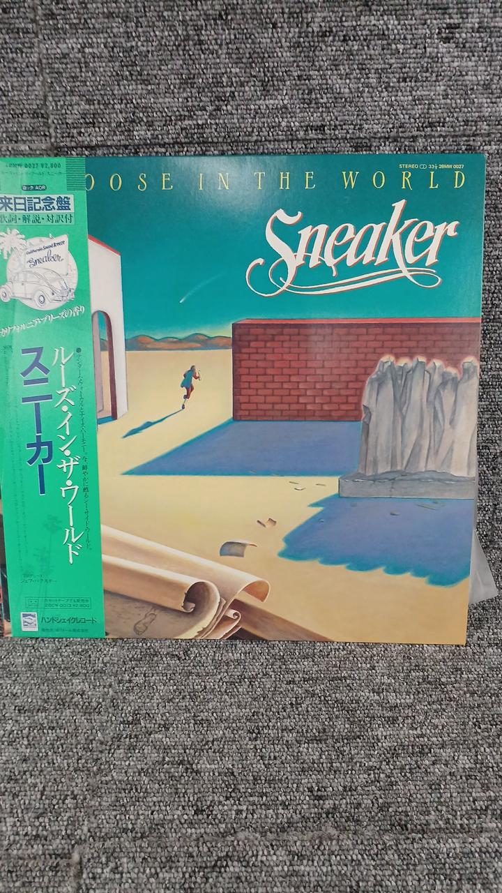 Polydor Sample Disc Unused Record Loose in the World Sneakers