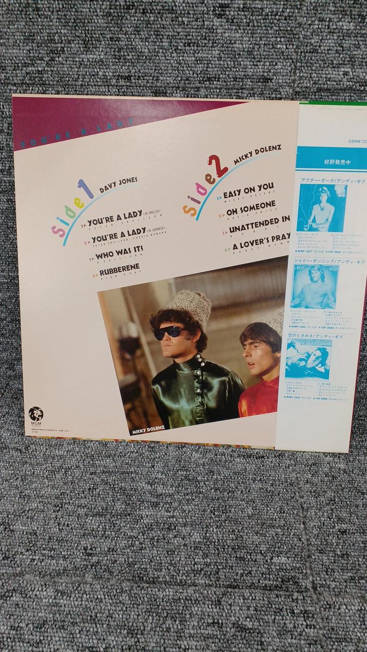 MGM Sample Disc Unused Record Davey Jones