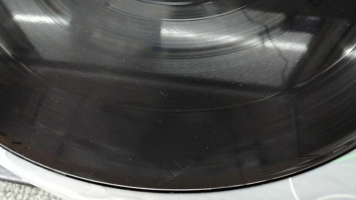 TREE BLIND MICE LP BACK TO THE SEA