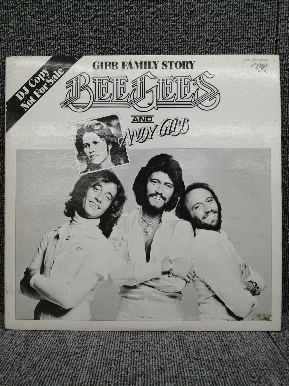 RSO Analog Record BEEGEES/GIBB FAMILY STORY