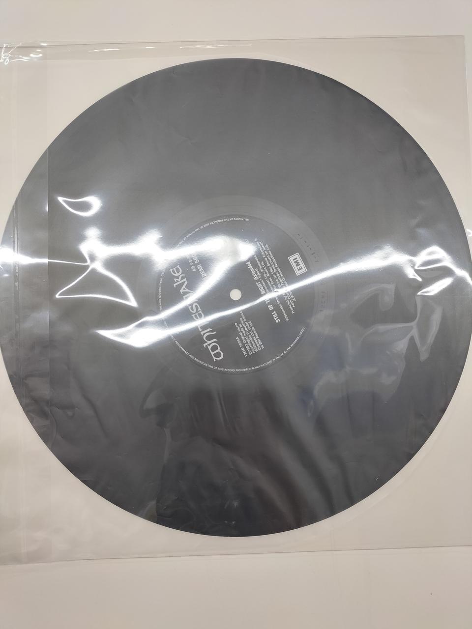 WHITESNAKE Record: STILL OF THE NIGHT