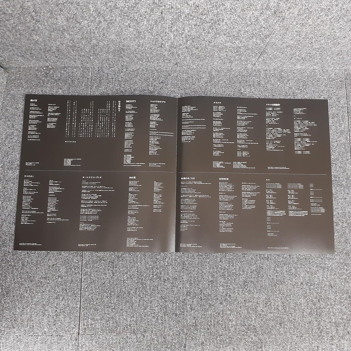 UNIVERSAL MUSIC LP Record Zanmu