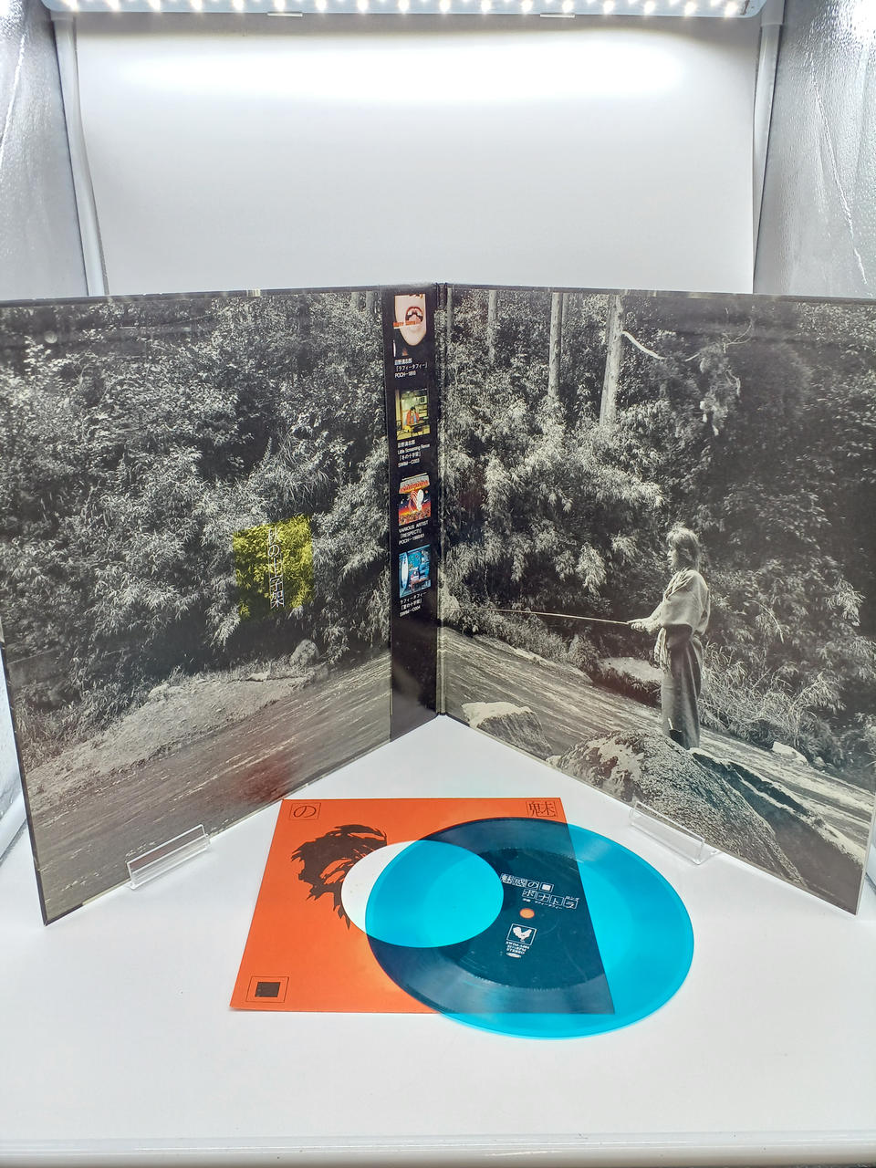 SWIM RECORDS LP Autumn Cross