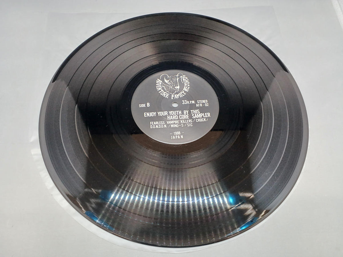 ADVENTURE FAMILY RECORDS VARIOUS / ENJOY YOUR YOUTH BY AFR-02