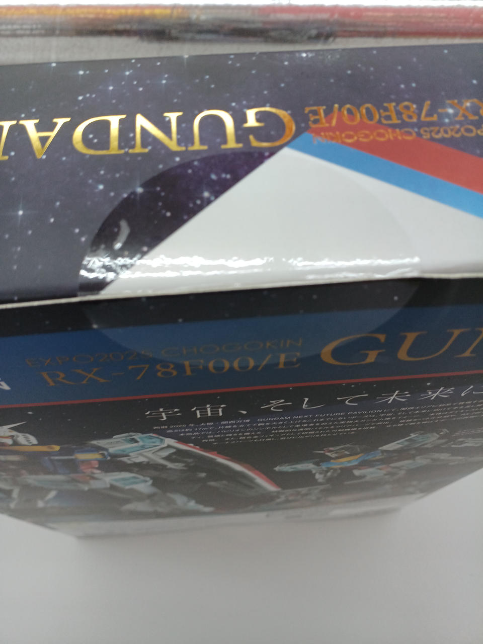 BANDAI Chogokin EXPO2025 CHOGOKIN RX-78-F00/E