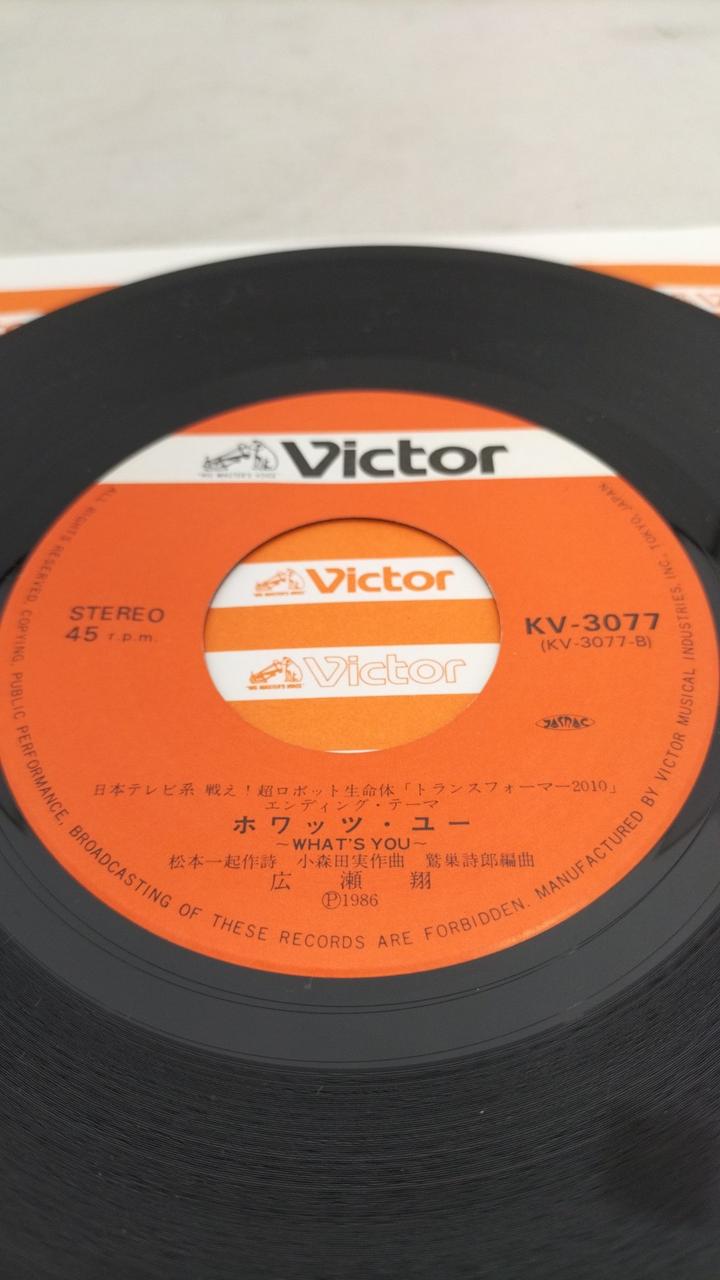 VICTOR Record: Sho Hirose / Trusformer 2010