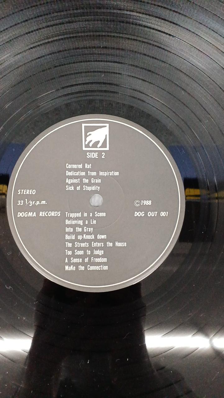 DOGMA RECORDS HERESR/VOICE YOUR OPINION Heresy DOG OUT 001