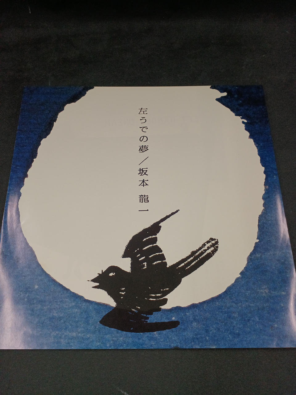 Alfa Records Ryuichi Sakamoto / Dream on the Left ALR-28025