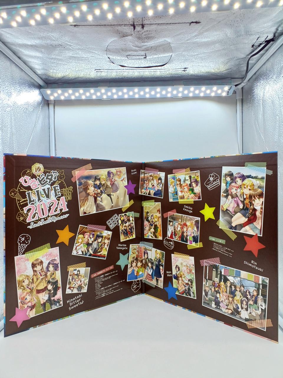 Pony Canyon LP Hinabita ♪