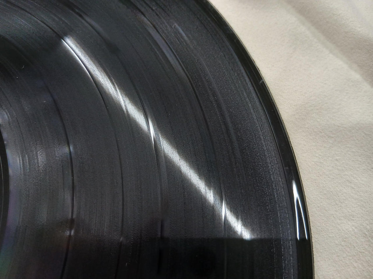 Warner Pioneer Record: The Magnificent Race