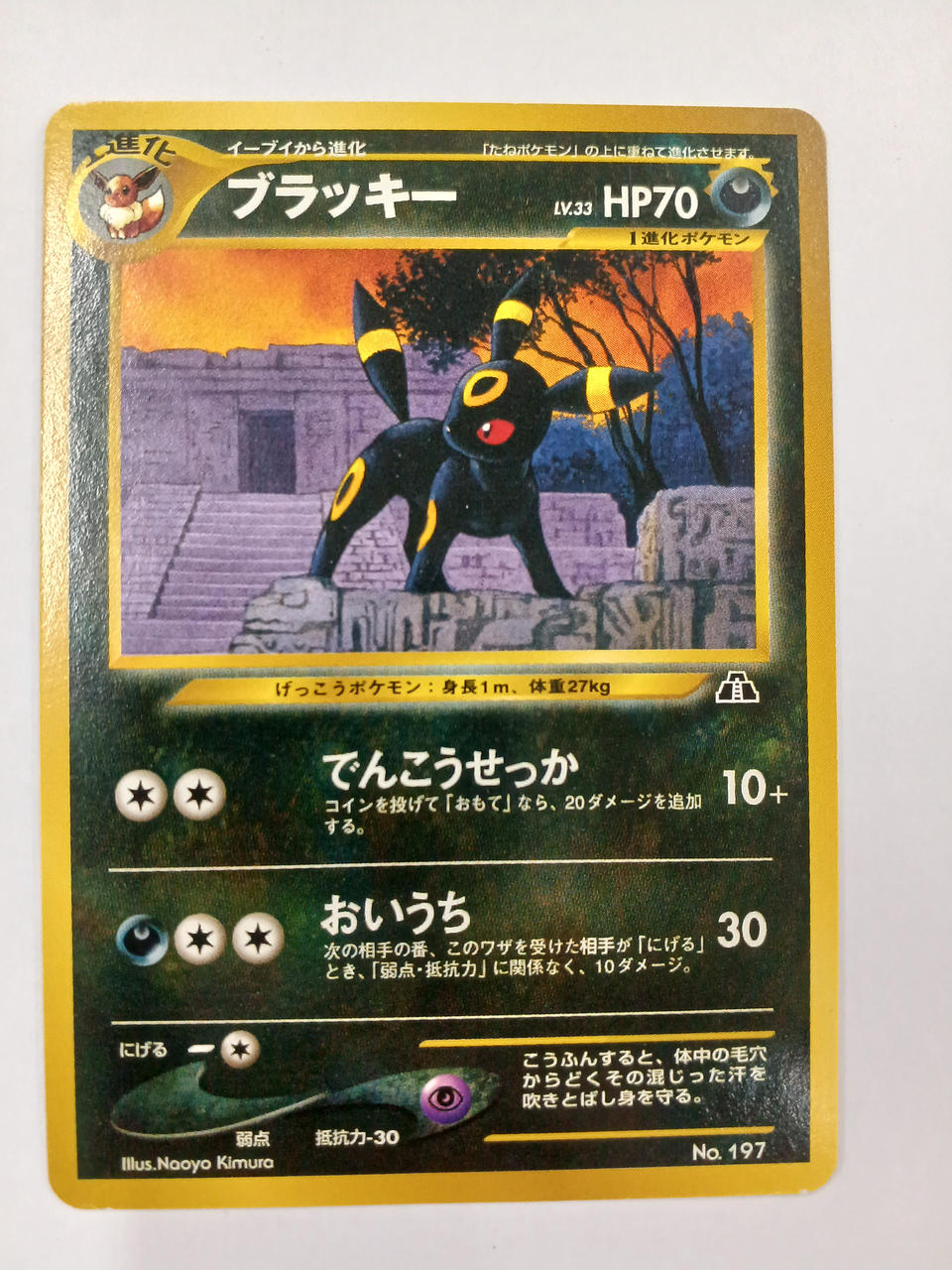 Pokémon Blacky Old Back - Banzai Thrifting | BanzaiHobby