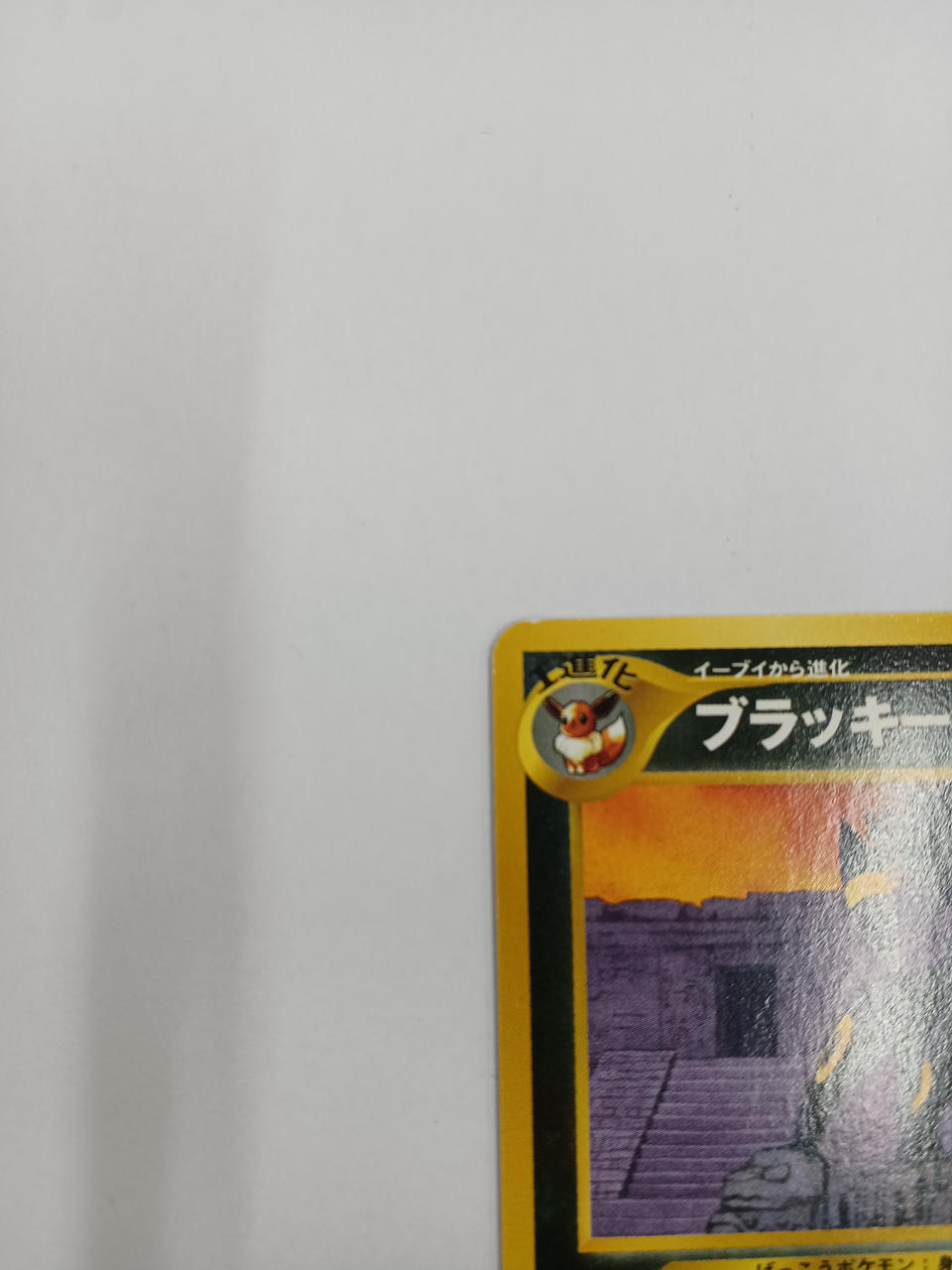 Pokémon Blacky Old Back - Banzai Thrifting | BanzaiHobby