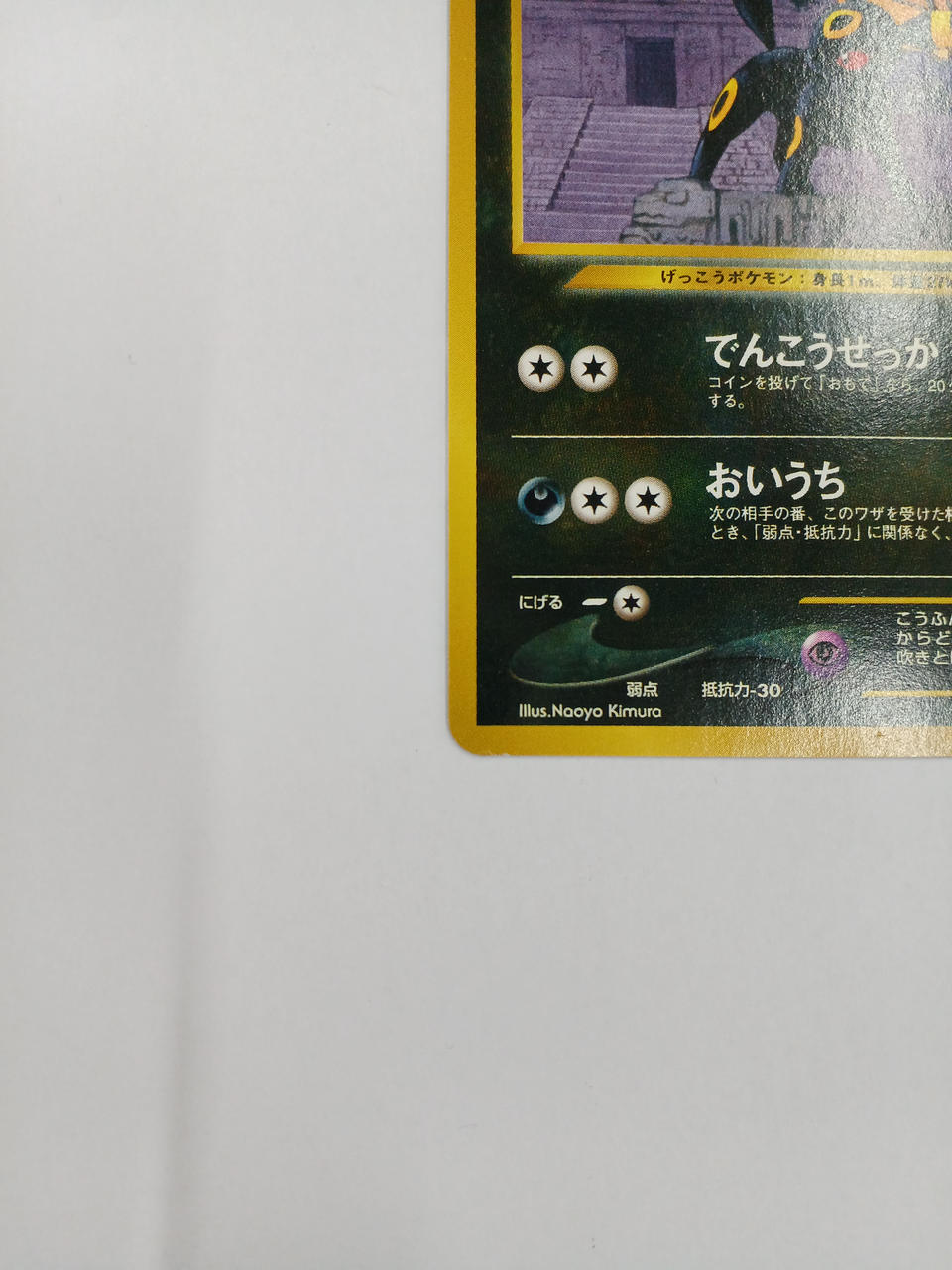 Pokémon Blacky Old Back - Banzai Thrifting | BanzaiHobby