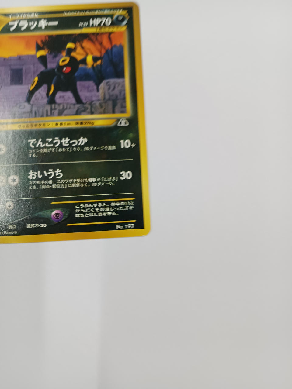 Pokémon Blacky Old Back - Banzai Thrifting | BanzaiHobby
