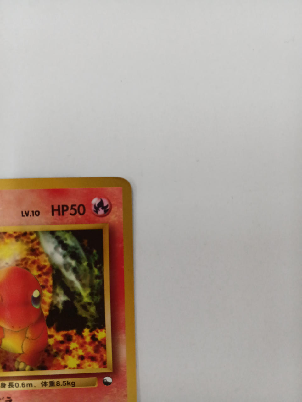 Pokémon Charmander Old Backside - Banzai Thrifting | BanzaiHobby