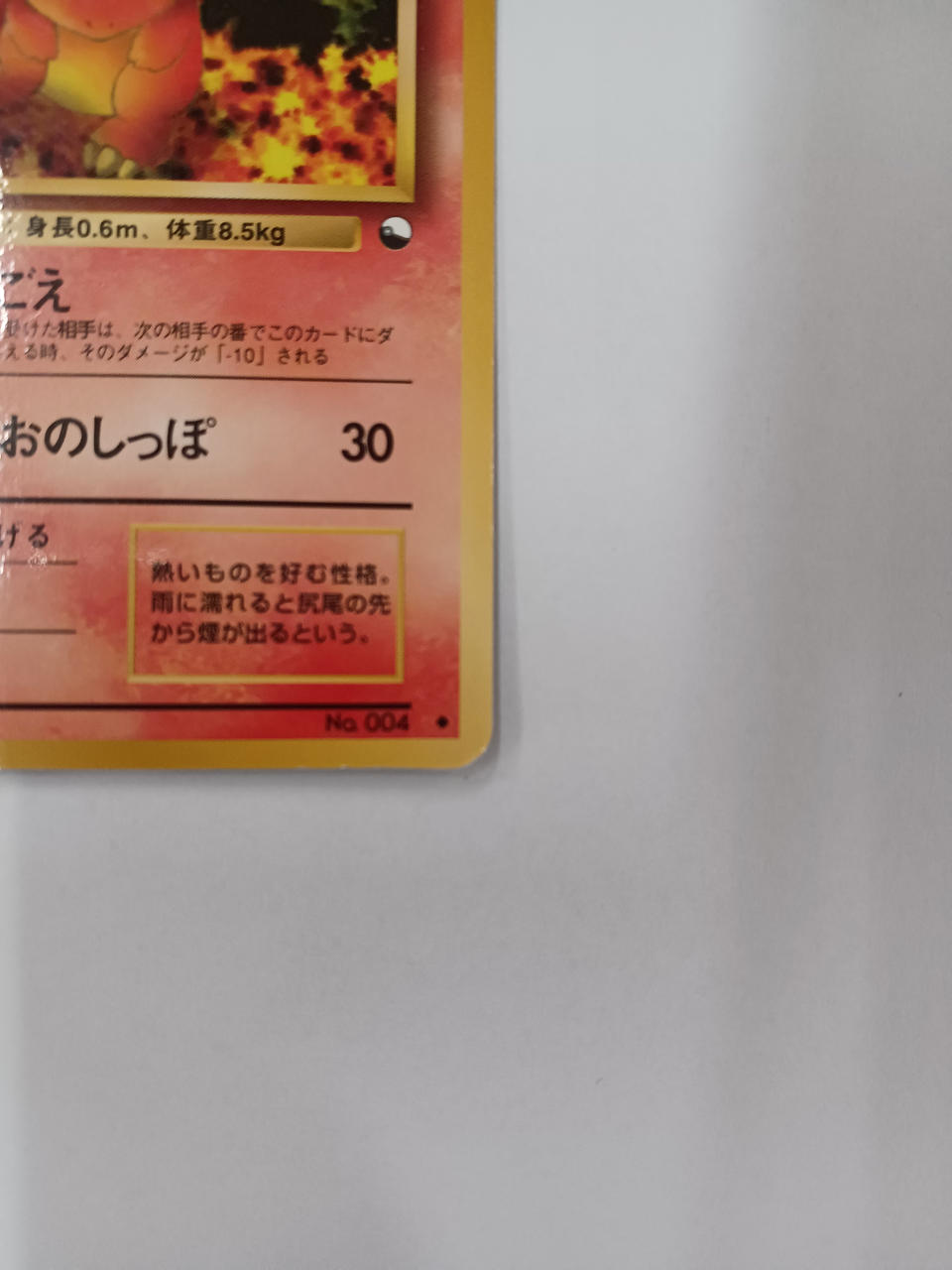 Pokémon Charmander Old Backside - Banzai Thrifting | BanzaiHobby