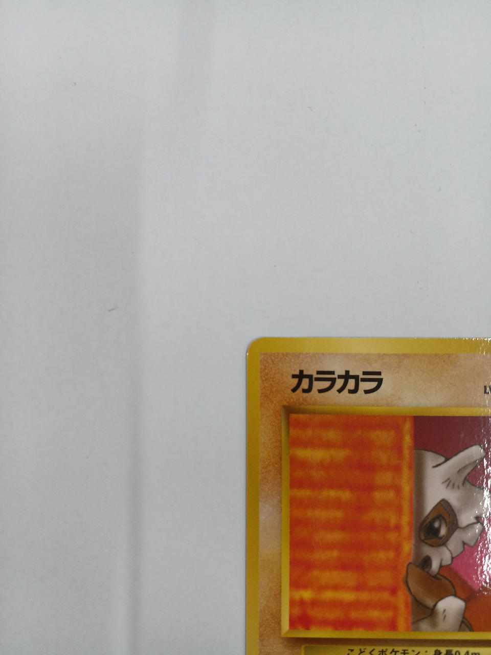 Pokémon Karakara Old Back - Banzai Thrifting | BanzaiHobby