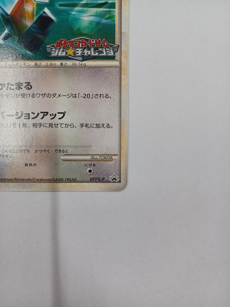 Pokémon Polygon 077/L-P - Banzai Thrifting | BanzaiHobby