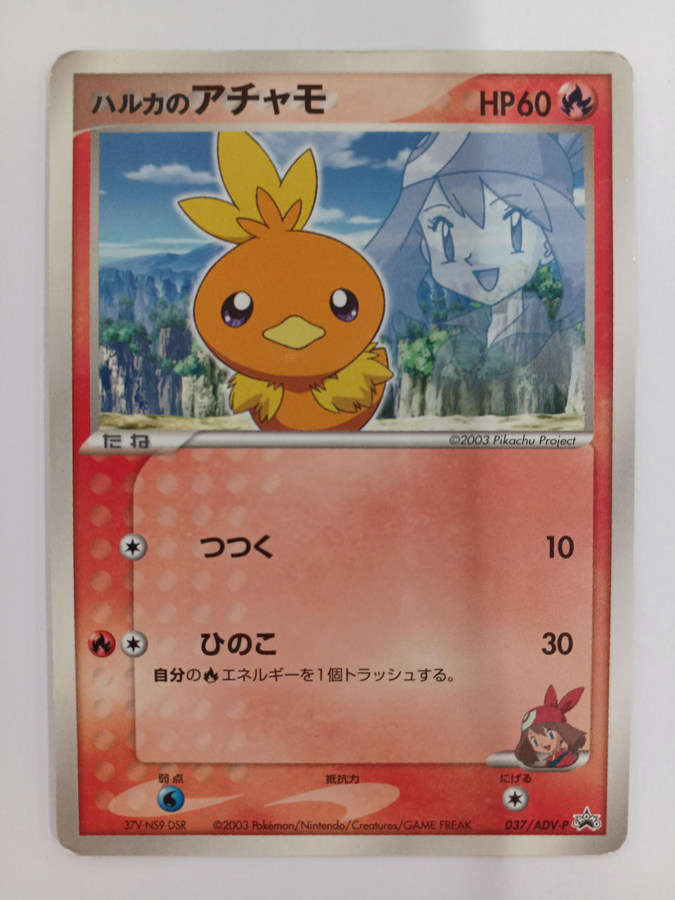 Pokémon Haruka's Achamo 037/ADV-P - Banzai Thrifting | BanzaiHobby