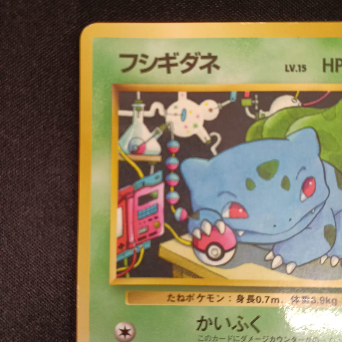 Pokémon Bulbasaur LV.15 NO.001
