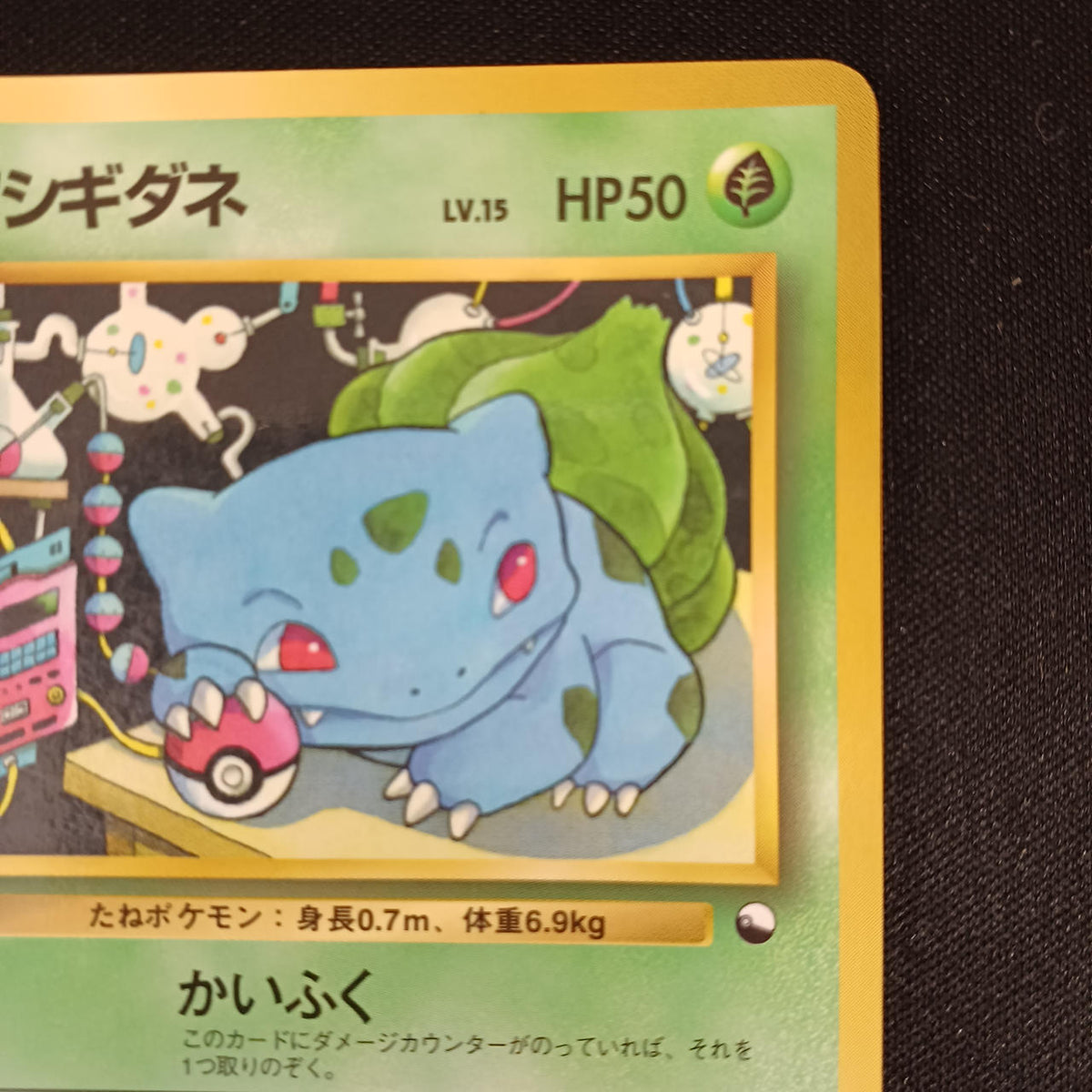 Pokémon Bulbasaur LV.15 NO.001