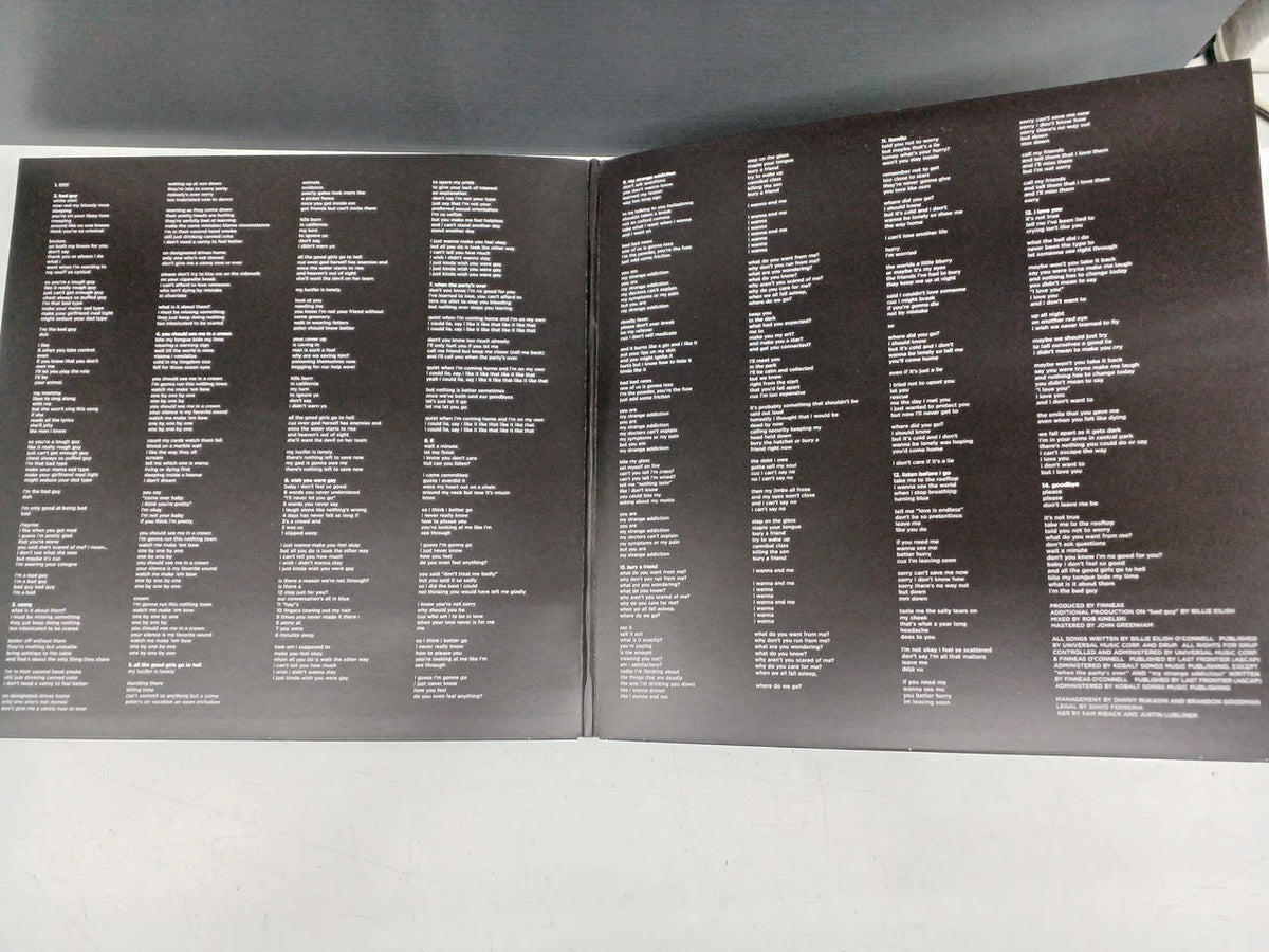 INTERSCOPE Western Music Record BILLIEEILISH / WHEN WE ALL FALL