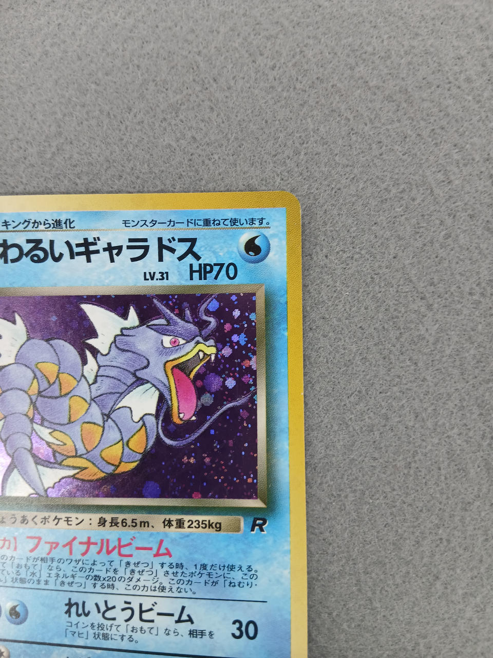 Media Factory Pokémon Card Bad Gyarados