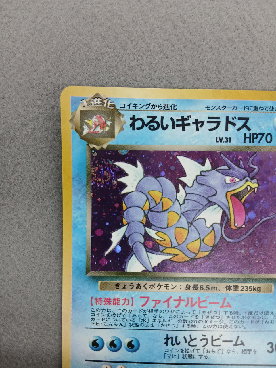 Media Factory Pokémon Card Bad Gyarados
