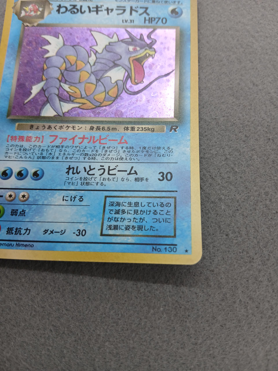 Media Factory Pokémon Card Bad Gyarados