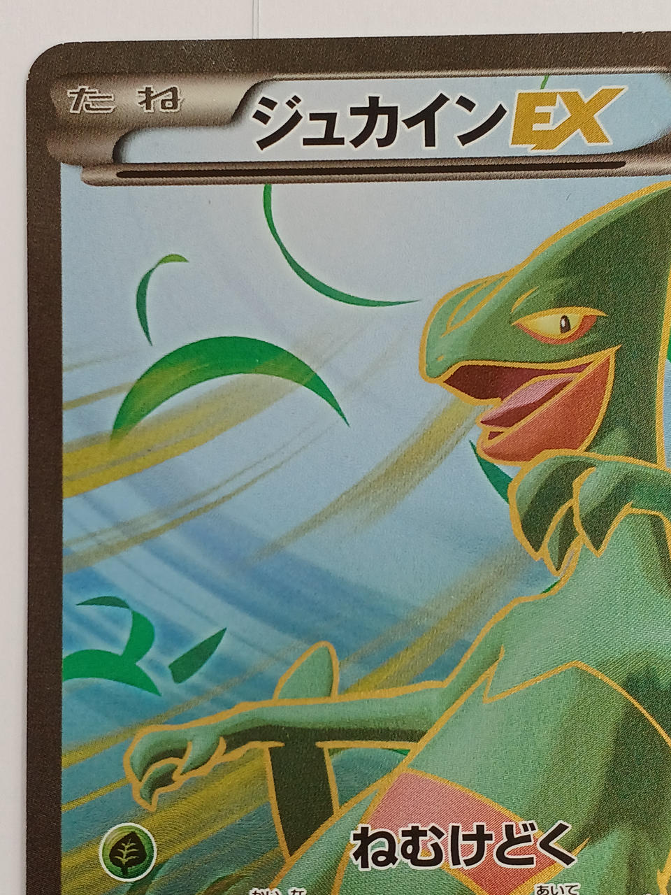 Pokémon Pokémon Card Jucain EX SR 082/081