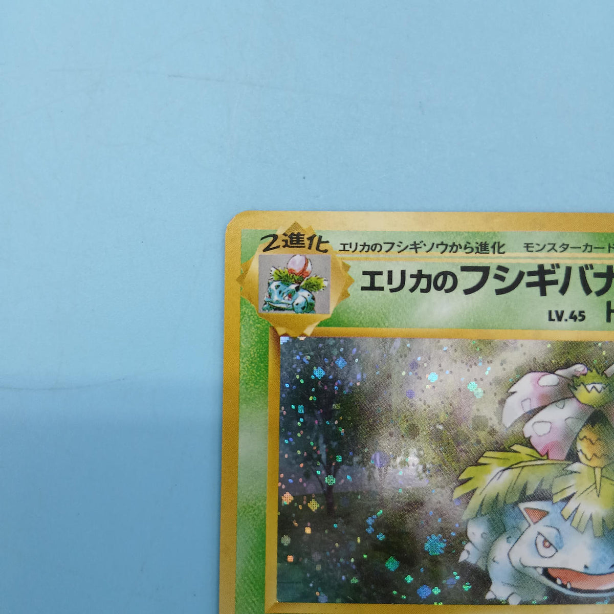 Pokémon Card Old Back: Erika's Bulbasaur Gym Expansion Vol. 2: Challenge from the Darkness
