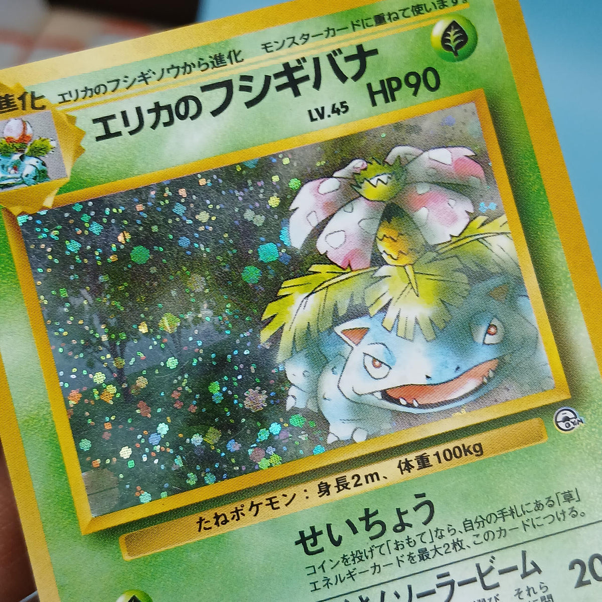 Pokémon Card Old Back: Erika's Bulbasaur Gym Expansion Vol. 2: Challenge from the Darkness