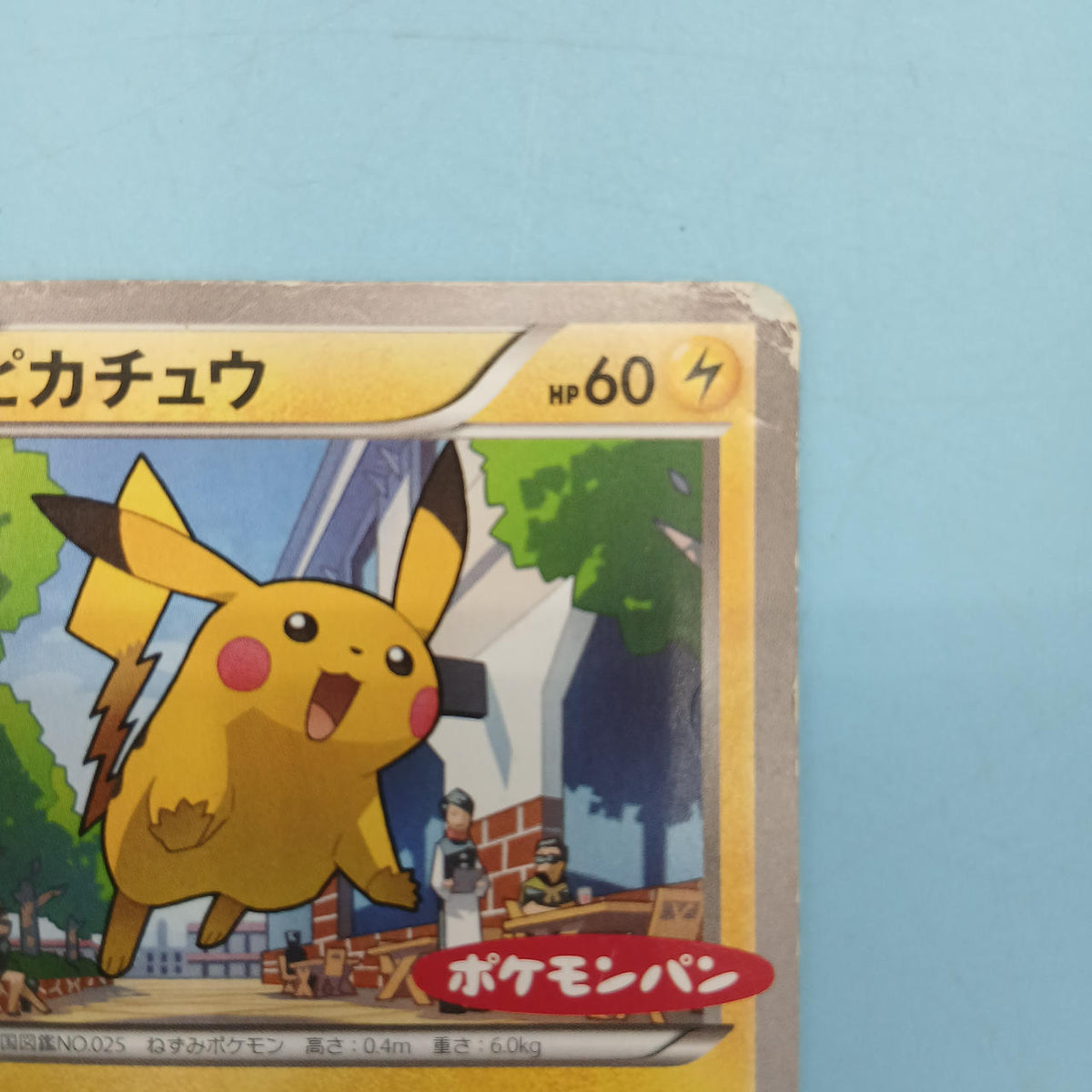 Pokémon Card Pikachu (Pokémon Bread) 064/XY-P