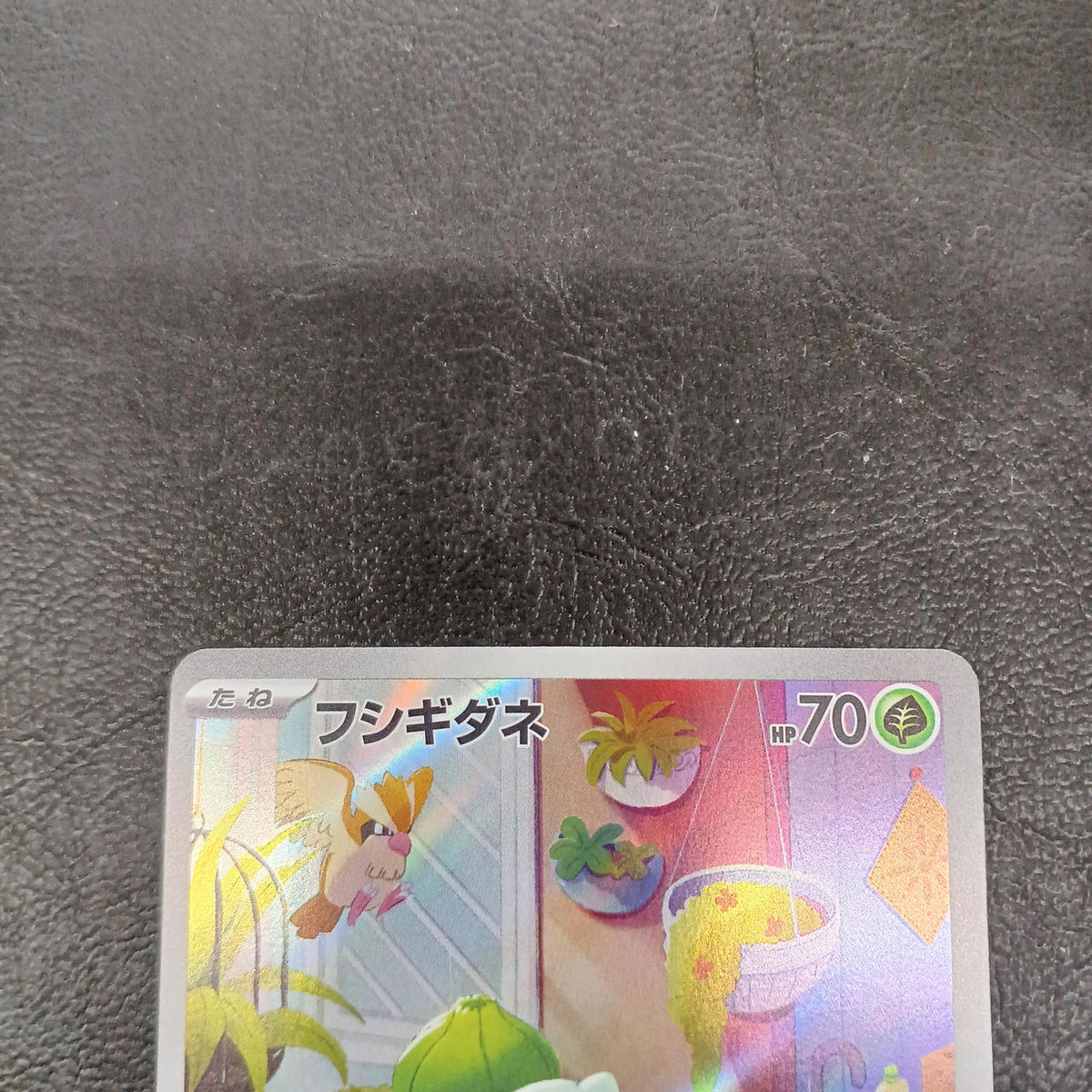 Pokémon Pokémon Card Game 050/049 Bulbasaur - Banzai Thrifting | BanzaiHobby